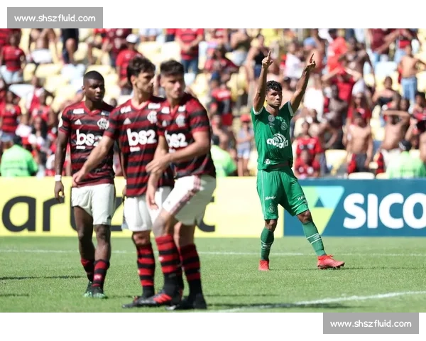 沙佩科主场迎战弗拉门戈焦点对决引爆巴甲赛场悬念升级球迷期待