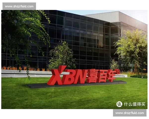 喜百年vs品牌实力与产品价值全面对比深度解析行业趋势与用户口碑 喜百年vs品牌实力与产品价值全面对比深度解析行业趋势与用户口碑